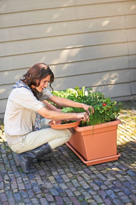 green basics jardin xxl soucoupe 100cm terre cuite doux